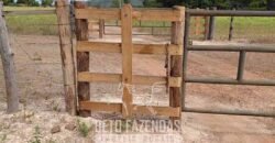 Fazenda à Venda 2.100 Hectares Dupla Aptidão com Pista de Pouso | Santana do Araguaia/ PA