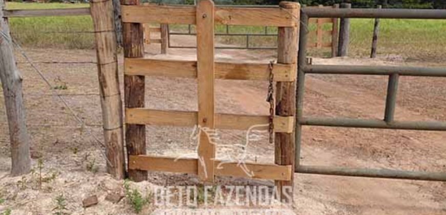 Fazenda à Venda 2.100 Hectares Dupla Aptidão com Pista de Pouso | Santana do Araguaia/ PA