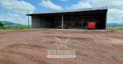Fazenda à Venda 2.100 Hectares Dupla Aptidão com Pista de Pouso | Santana do Araguaia/ PA