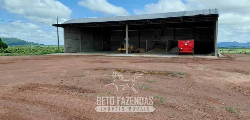 Fazenda à Venda 2.100 Hectares Dupla Aptidão com Pista de Pouso | Santana do Araguaia/ PA