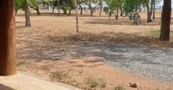 Fazenda à Venda 2.100 Hectares Dupla Aptidão com Pista de Pouso | Santana do Araguaia/ PA