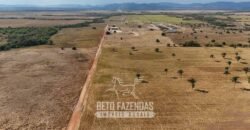 Fazenda à Venda 2.100 Hectares Dupla Aptidão com Pista de Pouso | Santana do Araguaia/ PA