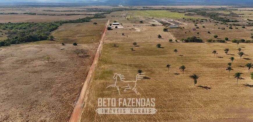 Fazenda à Venda 2.100 Hectares Dupla Aptidão com Pista de Pouso | Santana do Araguaia/ PA