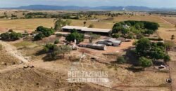 Fazenda à Venda 2.100 Hectares Dupla Aptidão com Pista de Pouso | Santana do Araguaia/ PA