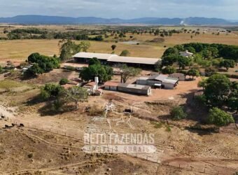 Fazenda à Venda 2.100 Hectares Dupla Aptidão com Pista de Pouso | Santana do Araguaia/ PA