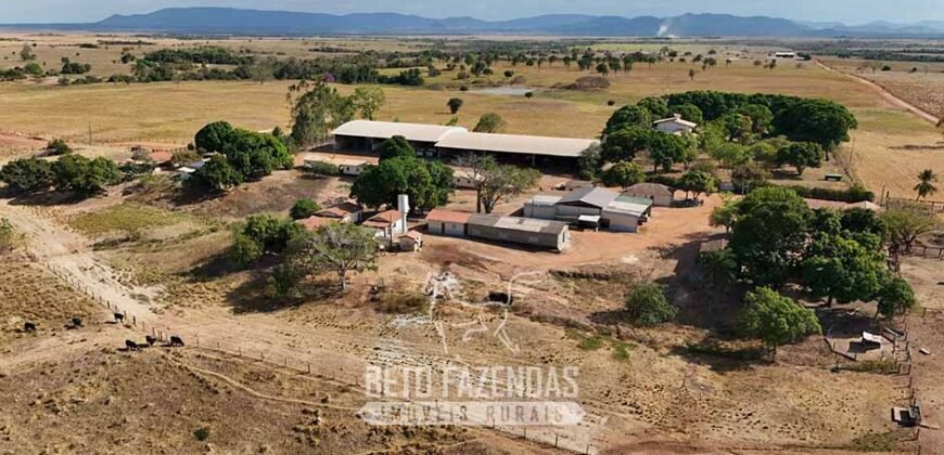 Fazenda à Venda 2.100 Hectares Dupla Aptidão com Pista de Pouso | Santana do Araguaia/ PA