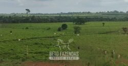 Fazenda à Venda 2.100 Hectares Dupla Aptidão com Pista de Pouso | Santana do Araguaia/ PA