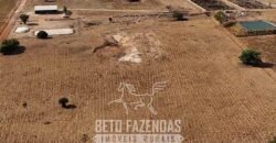 Fazenda à Venda 2.100 Hectares Dupla Aptidão com Pista de Pouso | Santana do Araguaia/ PA