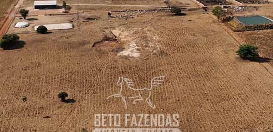 Fazenda à Venda 2.100 Hectares Dupla Aptidão com Pista de Pouso | Santana do Araguaia/ PA
