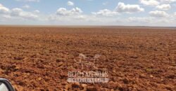Fazenda à Venda 2.100 Hectares Dupla Aptidão com Pista de Pouso | Santana do Araguaia/ PA