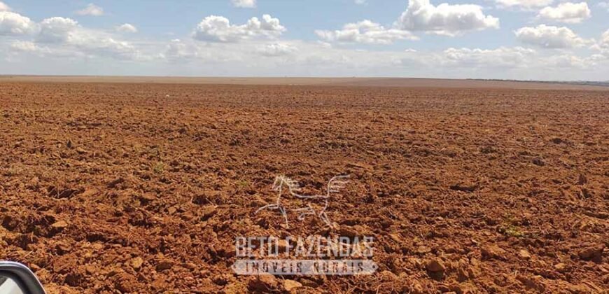 Fazenda à Venda 2.100 Hectares Dupla Aptidão com Pista de Pouso | Santana do Araguaia/ PA