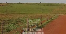 Fazenda à Venda 9.680 Hectares Dupla Aptidão | Vale do Araguaia/ MT