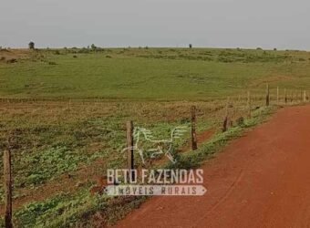 Fazenda à Venda 9.680 Hectares Dupla Aptidão | Vale do Araguaia/ MT