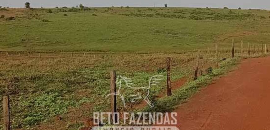 Fazenda à Venda 9.680 Hectares Dupla Aptidão | Vale do Araguaia/ MT