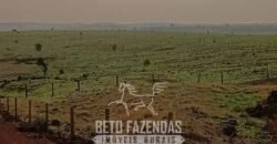 Fazenda à Venda 9.680 Hectares Dupla Aptidão | Vale do Araguaia/ MT