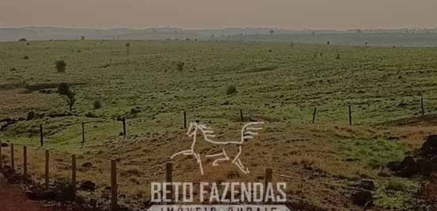 Fazenda à Venda 9.680 Hectares Dupla Aptidão | Vale do Araguaia/ MT