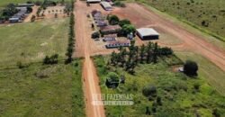 Mega Fazenda à Venda 94.000 Hectares Dupla Aptidão e Pista de Pouso | Rondolândia/ MT Mega Fazenda à Venda 94.000 Hectares Dupla Aptidão e Pista de Pouso | Rondolândia/ MT