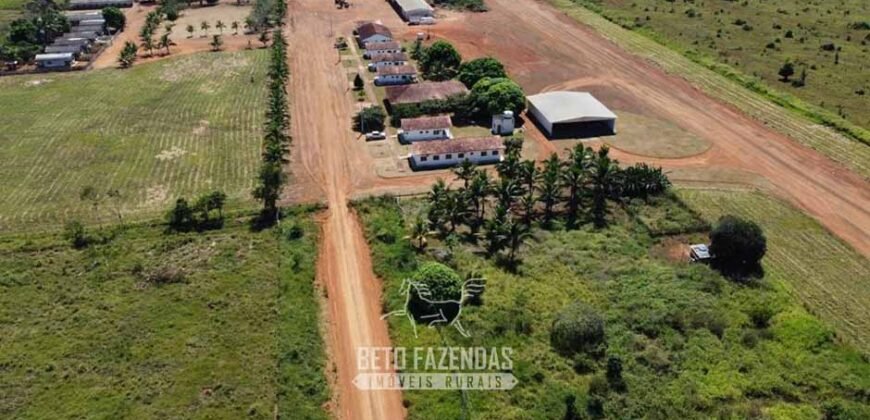 Mega Fazenda à Venda 94.000 Hectares Dupla Aptidão e Pista de Pouso | Rondolândia/ MT Mega Fazenda à Venda 94.000 Hectares Dupla Aptidão e Pista de Pouso | Rondolândia/ MT
