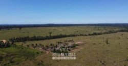 Mega Fazenda à Venda 94.000 Hectares Dupla Aptidão e Pista de Pouso | Rondolândia/ MT Mega Fazenda à Venda 94.000 Hectares Dupla Aptidão e Pista de Pouso | Rondolândia/ MT