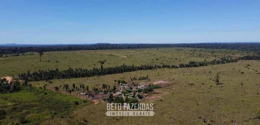 Mega Fazenda à Venda 94.000 Hectares Dupla Aptidão e Pista de Pouso | Rondolândia/ MT Mega Fazenda à Venda 94.000 Hectares Dupla Aptidão e Pista de Pouso | Rondolândia/ MT