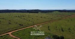 Mega Fazenda à Venda 94.000 Hectares Dupla Aptidão e Pista de Pouso | Rondolândia/ MT Mega Fazenda à Venda 94.000 Hectares Dupla Aptidão e Pista de Pouso | Rondolândia/ MT