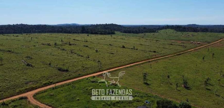 Mega Fazenda à Venda 94.000 Hectares Dupla Aptidão e Pista de Pouso | Rondolândia/ MT Mega Fazenda à Venda 94.000 Hectares Dupla Aptidão e Pista de Pouso | Rondolândia/ MT