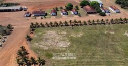 Mega Fazenda à Venda 94.000 Hectares Dupla Aptidão e Pista de Pouso | Rondolândia/ MT Mega Fazenda à Venda 94.000 Hectares Dupla Aptidão e Pista de Pouso | Rondolândia/ MT