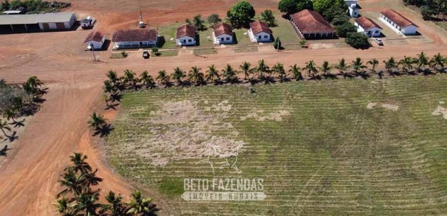Mega Fazenda à Venda 94.000 Hectares Dupla Aptidão e Pista de Pouso | Rondolândia/ MT Mega Fazenda à Venda 94.000 Hectares Dupla Aptidão e Pista de Pouso | Rondolândia/ MT