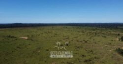 Mega Fazenda à Venda 94.000 Hectares Dupla Aptidão e Pista de Pouso | Rondolândia/ MT Mega Fazenda à Venda 94.000 Hectares Dupla Aptidão e Pista de Pouso | Rondolândia/ MT