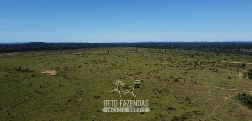 Mega Fazenda à Venda 94.000 Hectares Dupla Aptidão e Pista de Pouso | Rondolândia/ MT Mega Fazenda à Venda 94.000 Hectares Dupla Aptidão e Pista de Pouso | Rondolândia/ MT