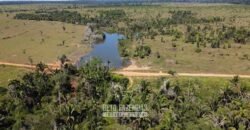 Mega Fazenda à Venda 94.000 Hectares Dupla Aptidão e Pista de Pouso | Rondolândia/ MT Mega Fazenda à Venda 94.000 Hectares Dupla Aptidão e Pista de Pouso | Rondolândia/ MT