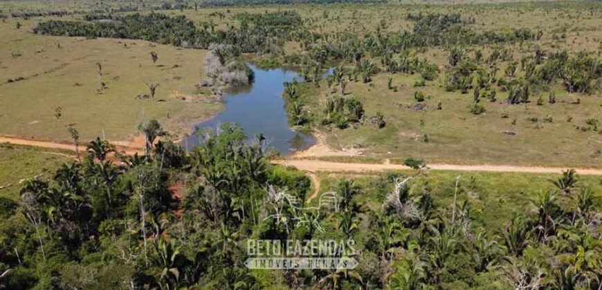 Mega Fazenda à Venda 94.000 Hectares Dupla Aptidão e Pista de Pouso | Rondolândia/ MT Mega Fazenda à Venda 94.000 Hectares Dupla Aptidão e Pista de Pouso | Rondolândia/ MT