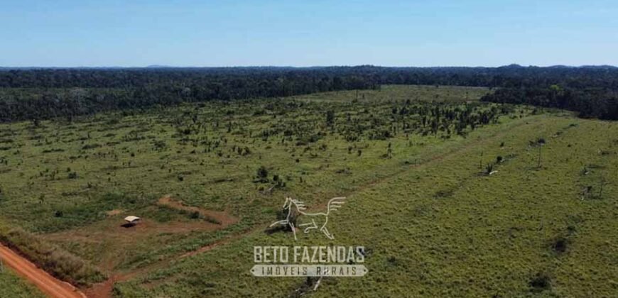 Mega Fazenda à Venda 94.000 Hectares Dupla Aptidão e Pista de Pouso | Rondolândia/ MT Mega Fazenda à Venda 94.000 Hectares Dupla Aptidão e Pista de Pouso | Rondolândia/ MT