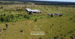 Mega Fazenda à Venda 94.000 Hectares Dupla Aptidão e Pista de Pouso | Rondolândia/ MT Mega Fazenda à Venda 94.000 Hectares Dupla Aptidão e Pista de Pouso | Rondolândia/ MT