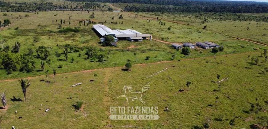 Mega Fazenda à Venda 94.000 Hectares Dupla Aptidão e Pista de Pouso | Rondolândia/ MT Mega Fazenda à Venda 94.000 Hectares Dupla Aptidão e Pista de Pouso | Rondolândia/ MT