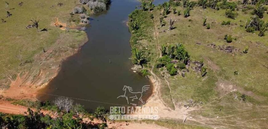 Mega Fazenda à Venda 94.000 Hectares Dupla Aptidão e Pista de Pouso | Rondolândia/ MT Mega Fazenda à Venda 94.000 Hectares Dupla Aptidão e Pista de Pouso | Rondolândia/ MT