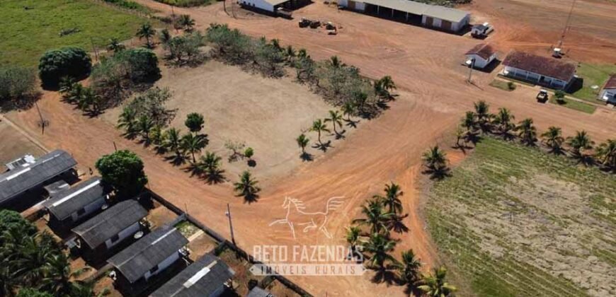 Mega Fazenda à Venda 94.000 Hectares Dupla Aptidão e Pista de Pouso | Rondolândia/ MT Mega Fazenda à Venda 94.000 Hectares Dupla Aptidão e Pista de Pouso | Rondolândia/ MT