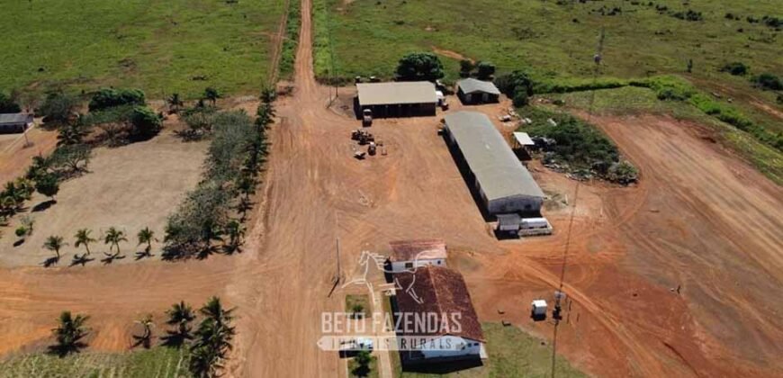 Mega Fazenda à Venda 94.000 Hectares Dupla Aptidão e Pista de Pouso | Rondolândia/ MT Mega Fazenda à Venda 94.000 Hectares Dupla Aptidão e Pista de Pouso | Rondolândia/ MT