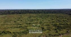 Mega Fazenda à Venda 94.000 Hectares Dupla Aptidão e Pista de Pouso | Rondolândia/ MT Mega Fazenda à Venda 94.000 Hectares Dupla Aptidão e Pista de Pouso | Rondolândia/ MT