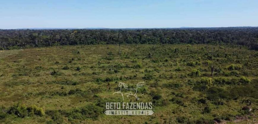 Mega Fazenda à Venda 94.000 Hectares Dupla Aptidão e Pista de Pouso | Rondolândia/ MT Mega Fazenda à Venda 94.000 Hectares Dupla Aptidão e Pista de Pouso | Rondolândia/ MT
