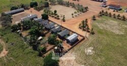 Mega Fazenda à Venda 94.000 Hectares Dupla Aptidão e Pista de Pouso | Rondolândia/ MT Mega Fazenda à Venda 94.000 Hectares Dupla Aptidão e Pista de Pouso | Rondolândia/ MT