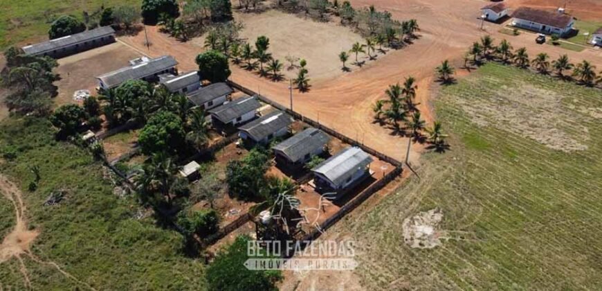 Mega Fazenda à Venda 94.000 Hectares Dupla Aptidão e Pista de Pouso | Rondolândia/ MT Mega Fazenda à Venda 94.000 Hectares Dupla Aptidão e Pista de Pouso | Rondolândia/ MT