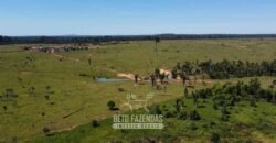 Mega Fazenda à Venda 94.000 Hectares Dupla Aptidão e Pista de Pouso | Rondolândia/ MT Mega Fazenda à Venda 94.000 Hectares Dupla Aptidão e Pista de Pouso | Rondolândia/ MT