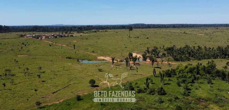 Mega Fazenda à Venda 94.000 Hectares Dupla Aptidão e Pista de Pouso | Rondolândia/ MT Mega Fazenda à Venda 94.000 Hectares Dupla Aptidão e Pista de Pouso | Rondolândia/ MT