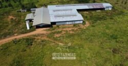 Mega Fazenda à Venda 94.000 Hectares Dupla Aptidão e Pista de Pouso | Rondolândia/ MT Mega Fazenda à Venda 94.000 Hectares Dupla Aptidão e Pista de Pouso | Rondolândia/ MT