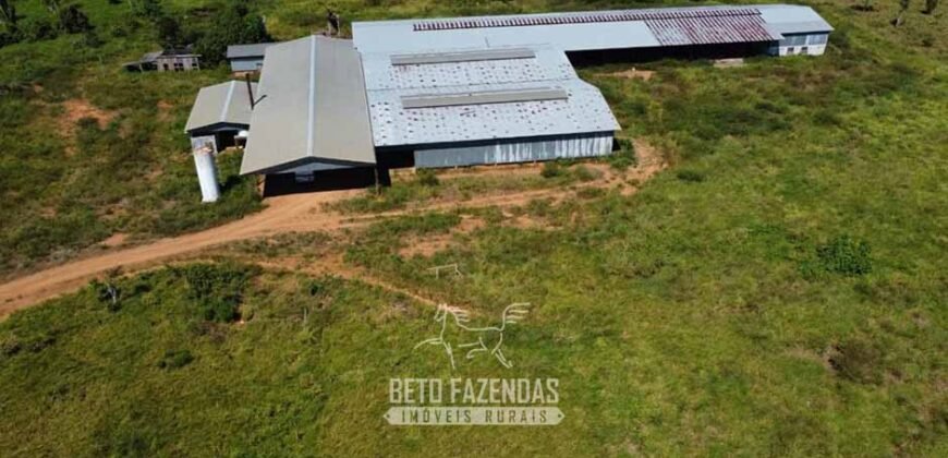 Mega Fazenda à Venda 94.000 Hectares Dupla Aptidão e Pista de Pouso | Rondolândia/ MT Mega Fazenda à Venda 94.000 Hectares Dupla Aptidão e Pista de Pouso | Rondolândia/ MT