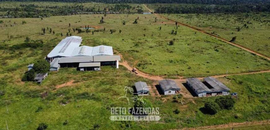 Mega Fazenda à Venda 94.000 Hectares Dupla Aptidão e Pista de Pouso | Rondolândia/ MT Mega Fazenda à Venda 94.000 Hectares Dupla Aptidão e Pista de Pouso | Rondolândia/ MT