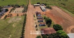Mega Fazenda à Venda 94.000 Hectares Dupla Aptidão e Pista de Pouso | Rondolândia/ MT Mega Fazenda à Venda 94.000 Hectares Dupla Aptidão e Pista de Pouso | Rondolândia/ MT