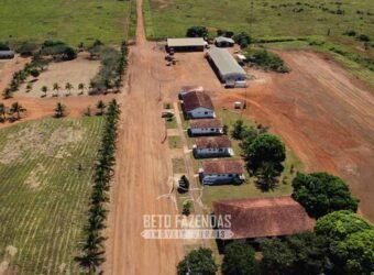 Mega Fazenda à Venda 94.000 Hectares Dupla Aptidão e Pista de Pouso | Rondolândia/ MT