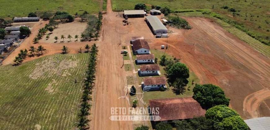 Mega Fazenda à Venda 94.000 Hectares Dupla Aptidão e Pista de Pouso | Rondolândia/ MT Mega Fazenda à Venda 94.000 Hectares Dupla Aptidão e Pista de Pouso | Rondolândia/ MT